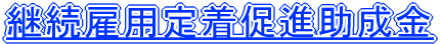 pٗp蒅i